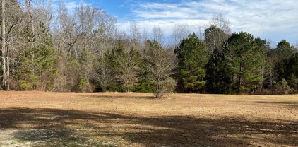 6384 COBBHAM Road, Appling