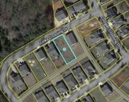 590 Links Crossing Drive, Blythewood image