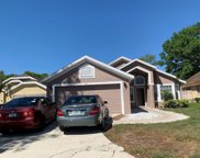 Apopka image