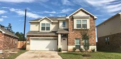 417 Aurora Creek Lane, Katy