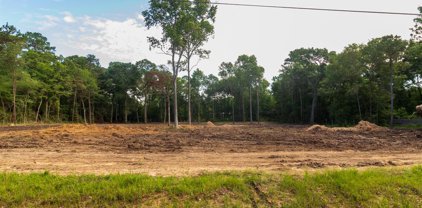 29408 country place, Magnolia