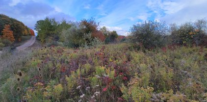 1651 Bennett Road, Ionia