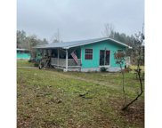 330 SW PLUM CT, Fort White image