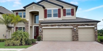 11078 Sundrift Drive, Tampa