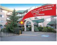 2962 Trethewey Street Unit 201, Abbotsford image