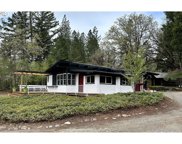 10860 REDWOOD HWY, Wilderville image