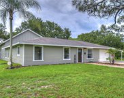 4900 Cadiz Way S, St Petersburg image