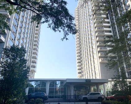 4250 N Marine Drive Unit #233, Chicago