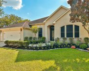 31207 Trinity Park Lane, Spring image