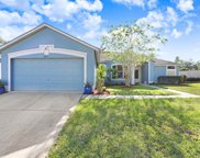 4211 Jade Lane, Valrico image