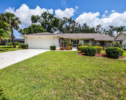 3254 Meadow Run Drive, Venice