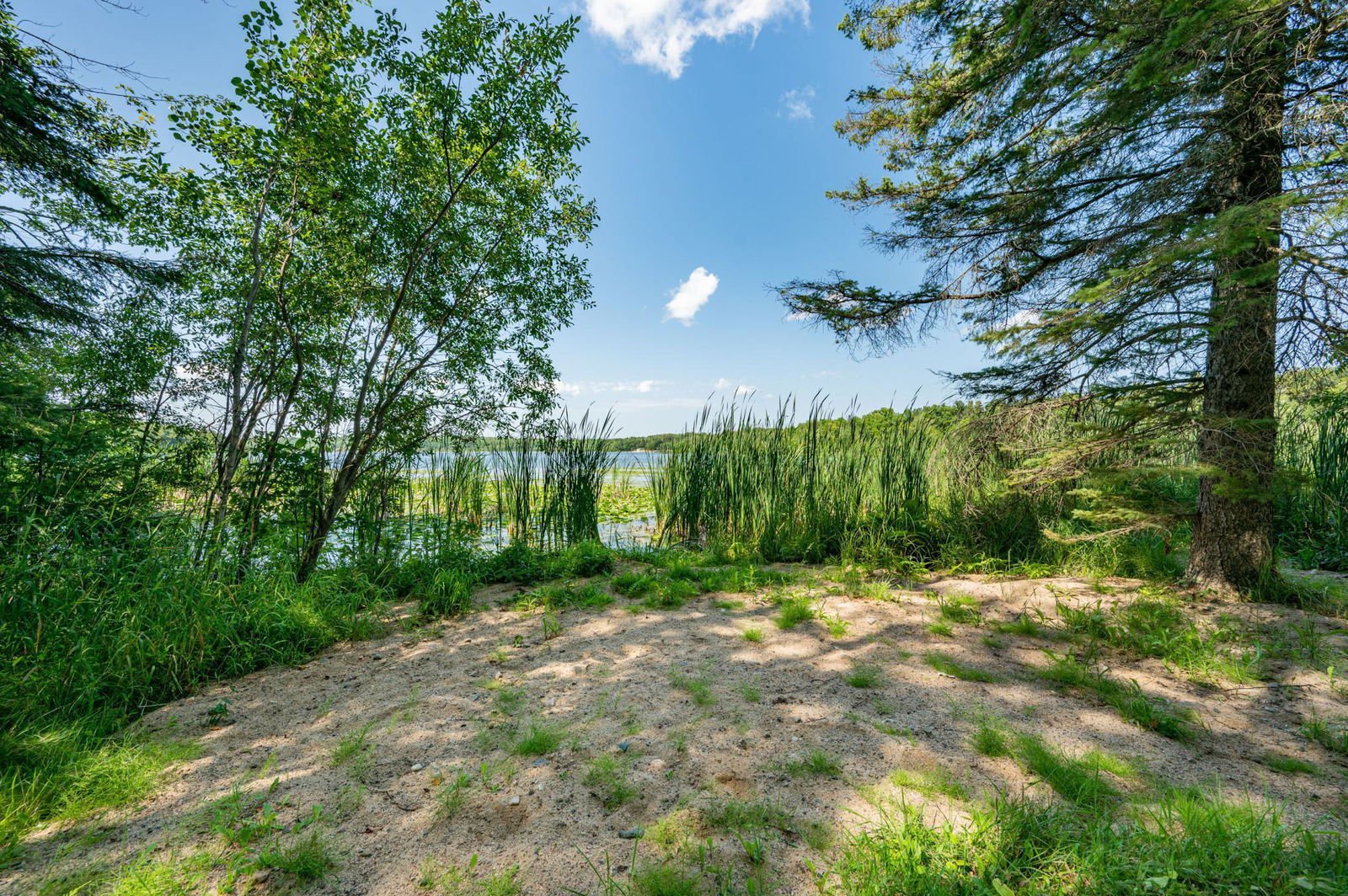 29289 Twin Lakes Drive, Bovey, 55709