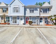 11336 Stratton Park Drive, Temple Terrace image