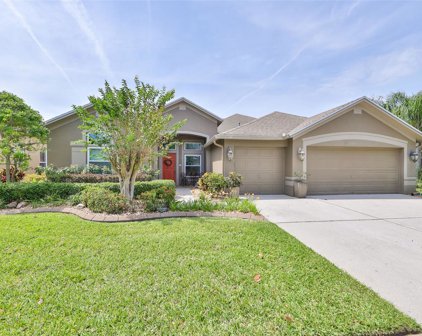 6533 Carrington Sky Drive, Apollo Beach