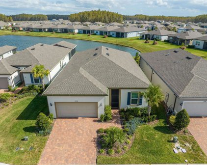 5158 Dockyard Place, Land O' Lakes
