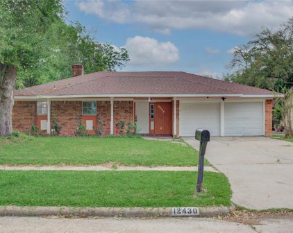 12430 Shannon Hills Drive, Houston