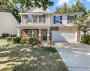 14134 Waterlyn  Drive, Charlotte image