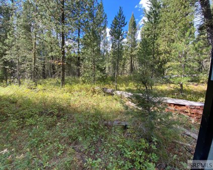 4176 Forest View Drive, Island Park