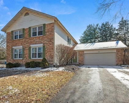 14908 Greenberry Hill  Court, Chesterfield