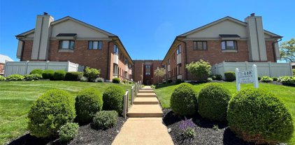 440 S Clay  Avenue Unit #311, Kirkwood