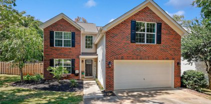 401 Sugar Maple  Drive, Tega Cay