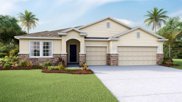 12371 Shining Willow Street, Riverview image