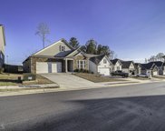 98 Wayside Terrace, Braselton image