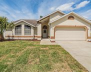 358 Wood Dove Avenue, Tarpon Springs image