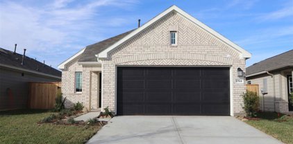 17524 Grand Fir Lane, New Caney