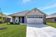 245 Abercorn Drive, Madison image