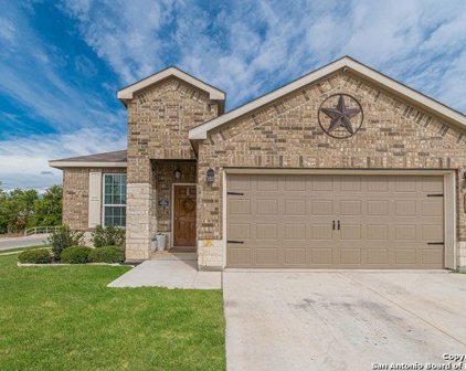 166 Texas Thistle, New Braunfels
