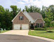 205 Ambergate Circle, Pelham image