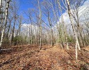 7636 Whitetail Road, Gaylord image