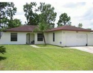 649 N Delmonte Court, Kissimmee image