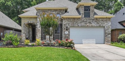 4503 Tamarind Trail, Kingwood