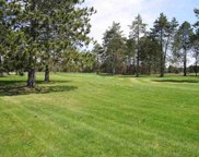 N1/2 Lot 1 N Markey Road, Roscommon image