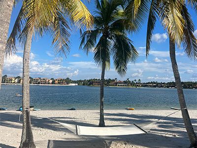 Miromar Lakes Real Estate