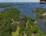 131 Red Fox Trail, Chapin image