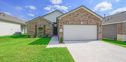 13038 Laura Lake, Willis