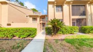 105 Lindsay Lane, Oldsmar image