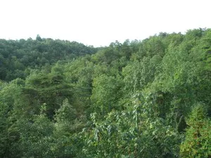 Paris_Mountain_greenville_upstate