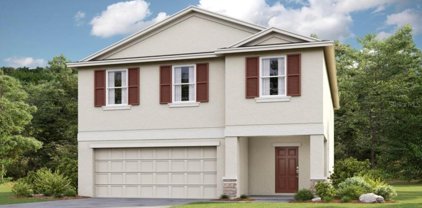 11314 Fieldstone Drive, Palmetto