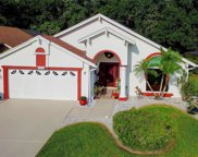 889 Crestridge Circle, Tarpon Springs image