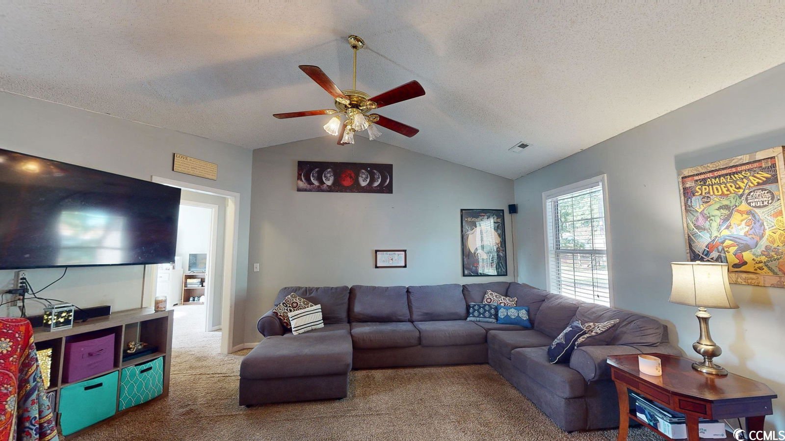 MLS 2317218 Castlewood 914 Castlewood Ln, Conway Property for Sale