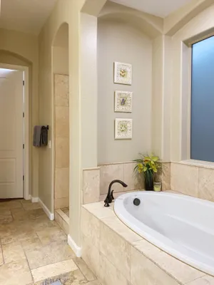Primary Bath Shower & Tub