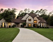 5006 Ossineke Court, Spring image