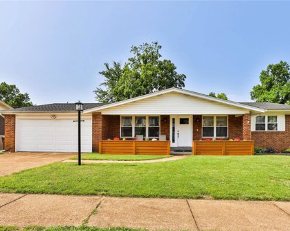 10580 Copperfield  Drive, St Louis