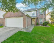 16238 Bantam Ridge Ct, Houston image