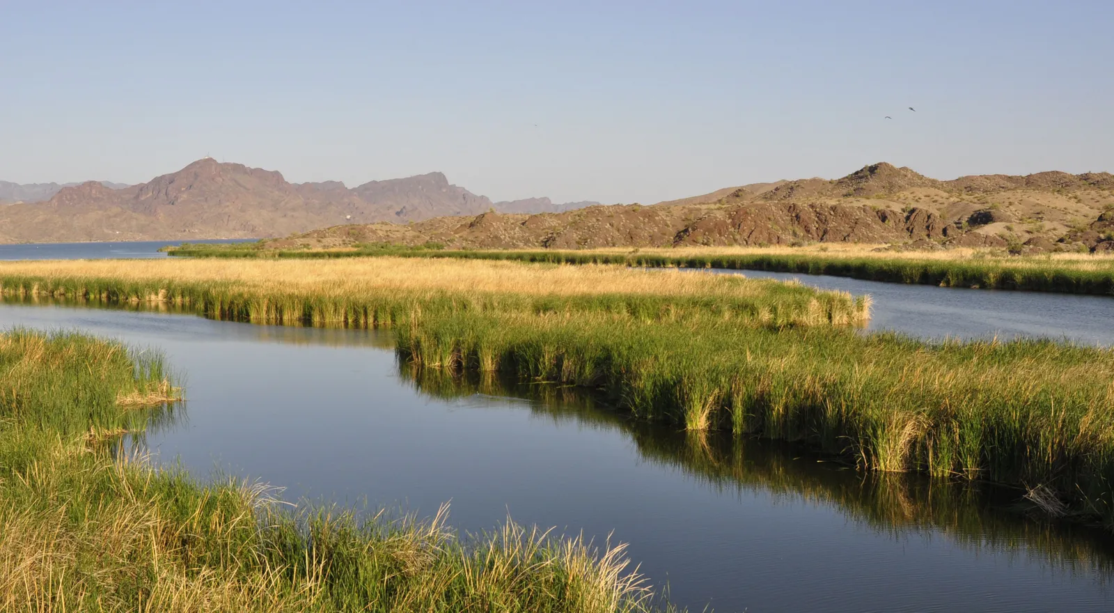 Bill Williams River National Wildlife Refuge south of Lake Havasu City
