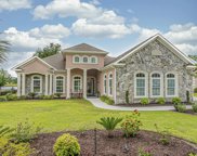 1129 Glossy Ibis Dr., Conway image